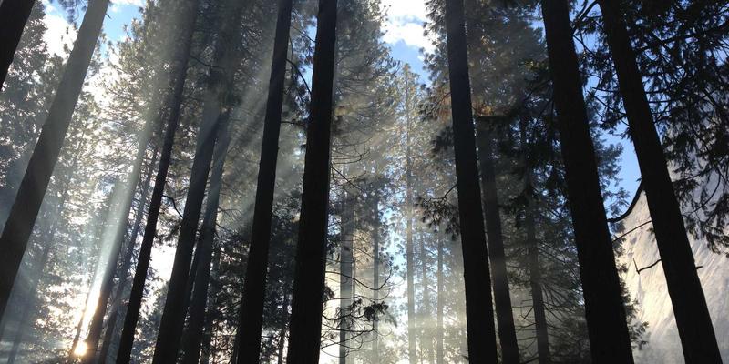 深圳PCB企业出海破局：从UL/CE认证到跨文化供应链管理的实战指南